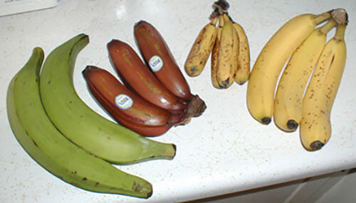 Бананы – лучший перекус. Они поддерживают силы и восстанавливают мышцы после тренировки